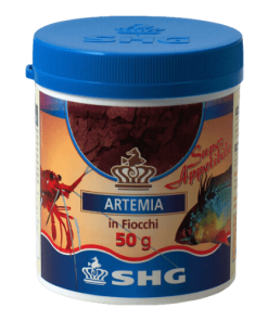 SHG – Artemia in Fiocchi